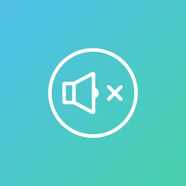 video-viseo-player-divx-640x480-1517870.png