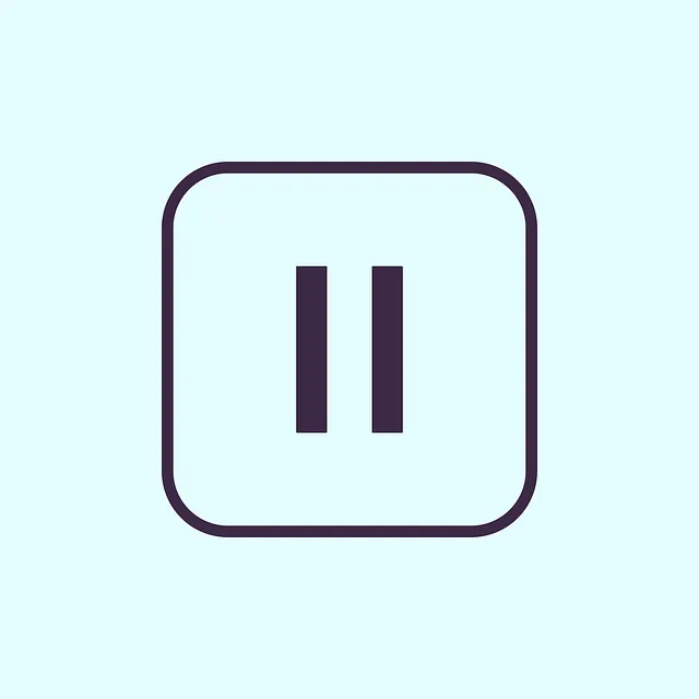 video-viseo-player-divx-640x480-19746359.png
