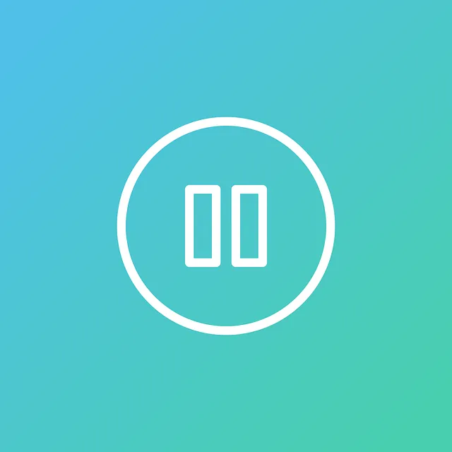 video-viseo-player-divx-640x480-32778462.png
