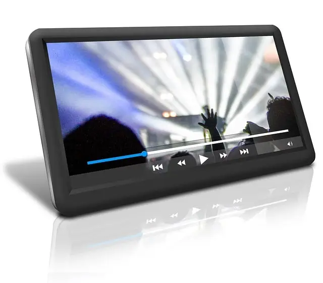 video-viseo-player-divx-640x480-49096993.jpeg
