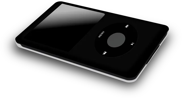 video-viseo-player-divx-640x480-63995649.png