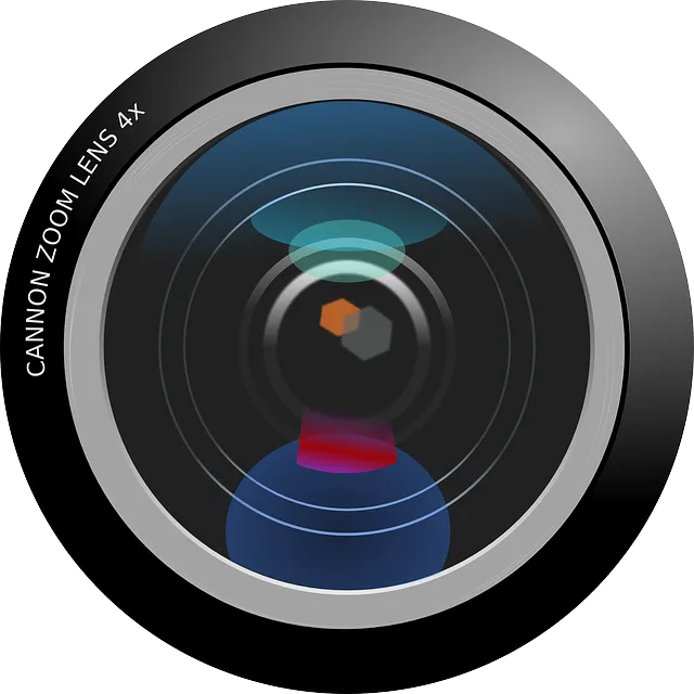 Optimize File Transfers with Free DivX Software for Chrome OS