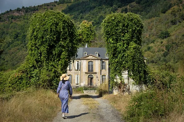 House Sitting: Stress-Free Solutions for Snowbirds & Travelers