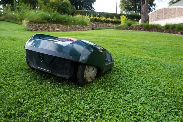 Lawn Fertilization & Weed Control: Optimizing Lawn Care and Landscaping