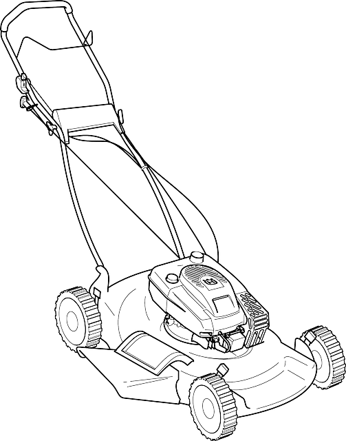 lawn-care-640x480-9641536.png