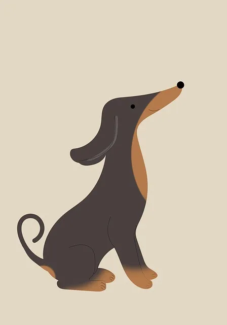 pet-sitting-640x480-14095883.jpeg