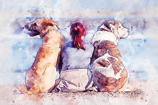 pet-sitting-640x480-34373633.jpeg