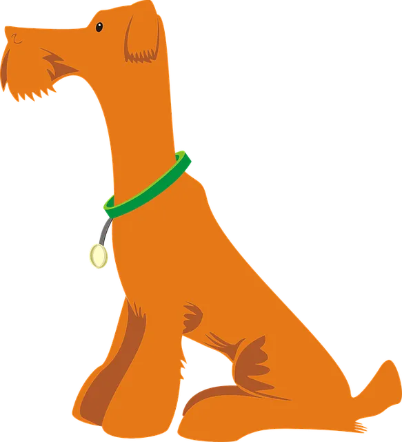 pet-sitting-640x480-71678125.png
