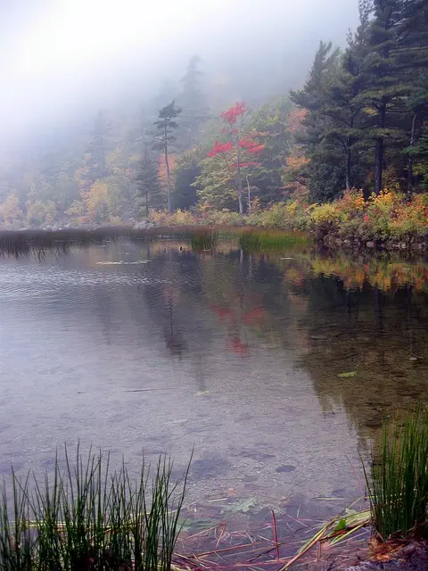 Insurance, Maine