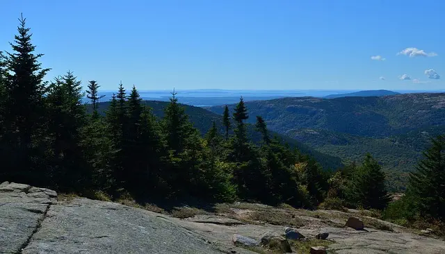 Insurance, Maine