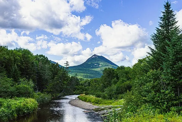 Insurance, Maine