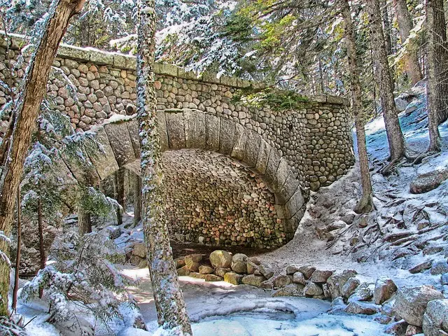 Insurance, Maine