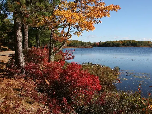Insurance, Maine