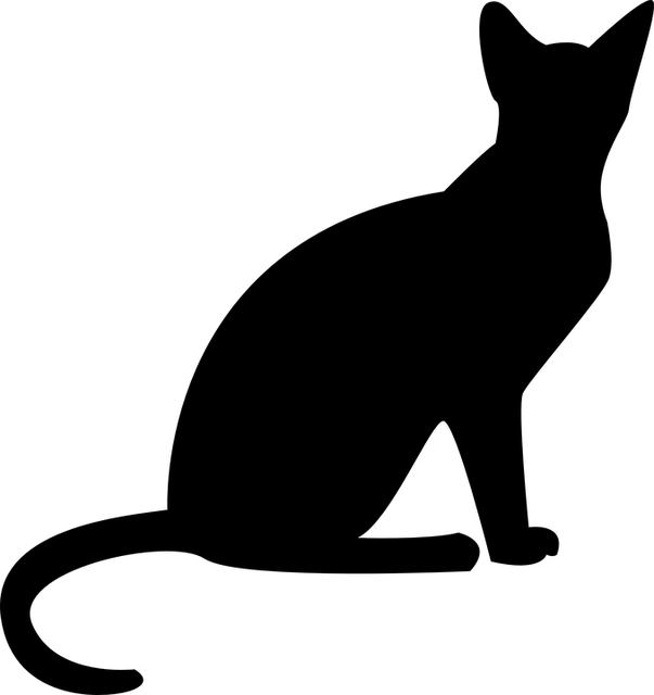 pet-sitting-640x480-19907147.png