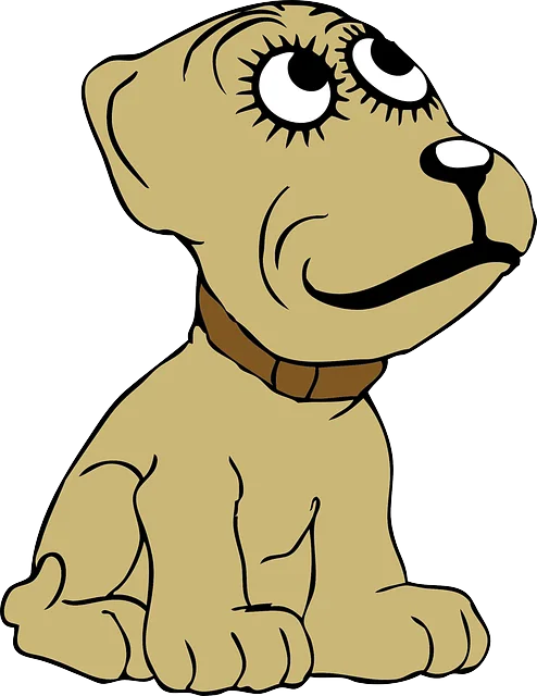 pet-sitting-640x480-2207434.png