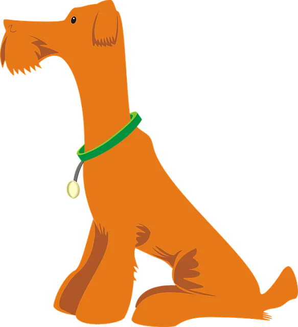 pet-sitting-640x480-5118584.png