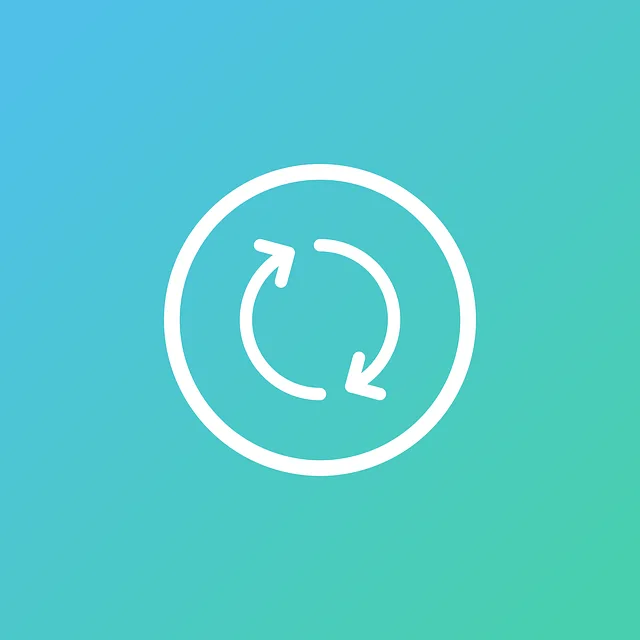 Video, viseo player, divx