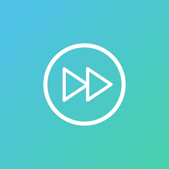 video-viseo-player-divx-640x480-94254099.png