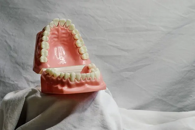 dentist