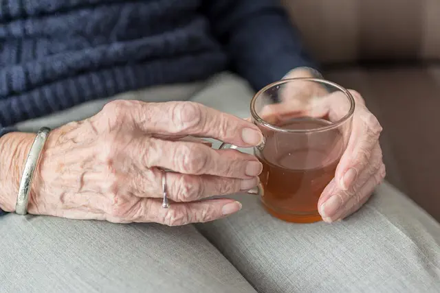 Elderly Person