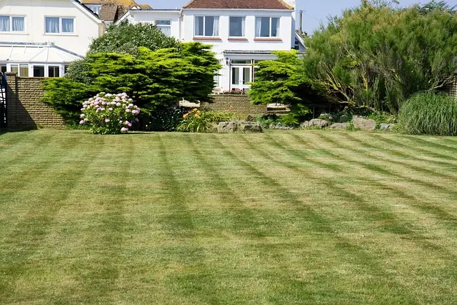 Lawn Care