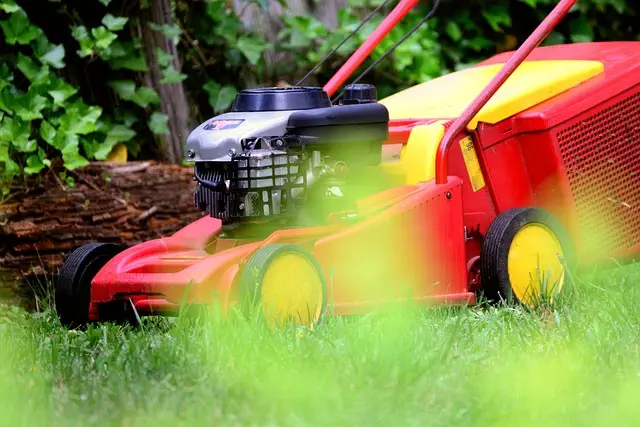 lawn-care-640x480-35507762.jpeg