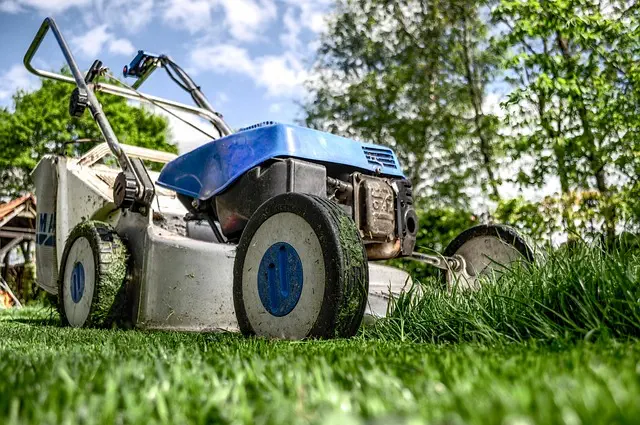 lawn-care-640x480-73913210.jpeg