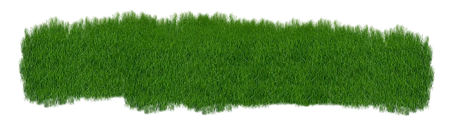 Lawn Care