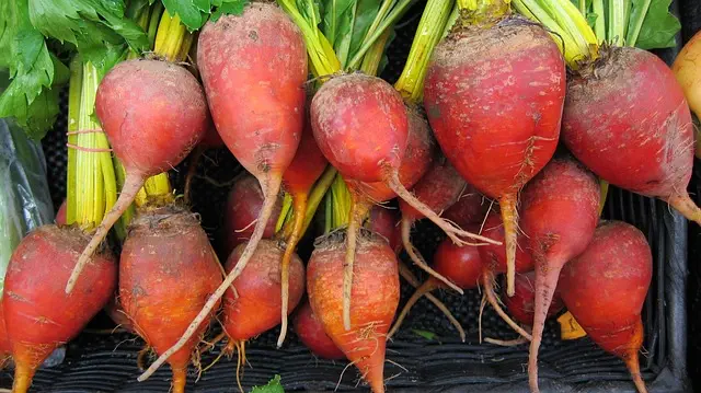 Local Food