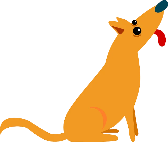 Pet Sitting