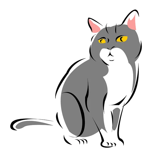 Pet Sitting