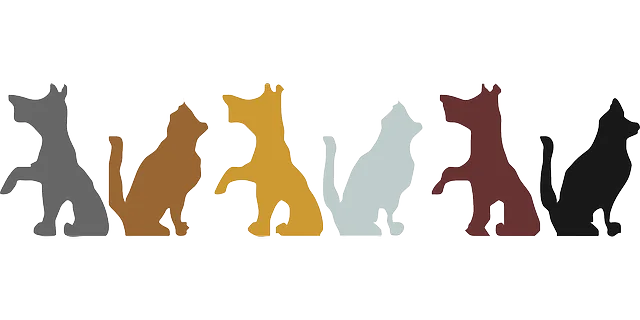 Pet Sitting