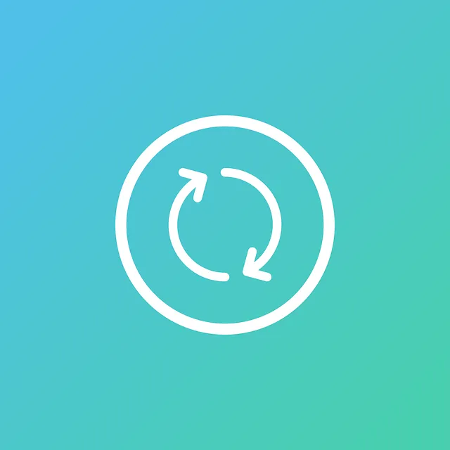 DivX Playback: Flexible Formats for Diverse Devices