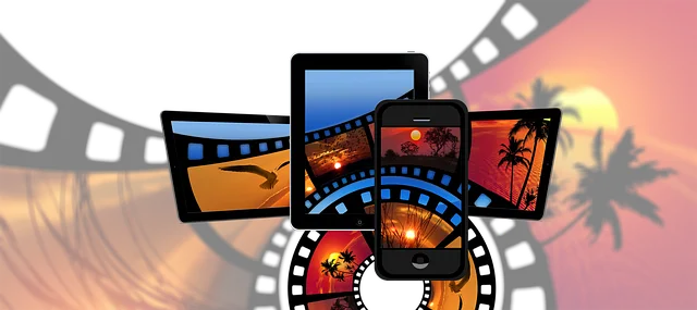 video-viseo-player-divx-640x480-2017263.png