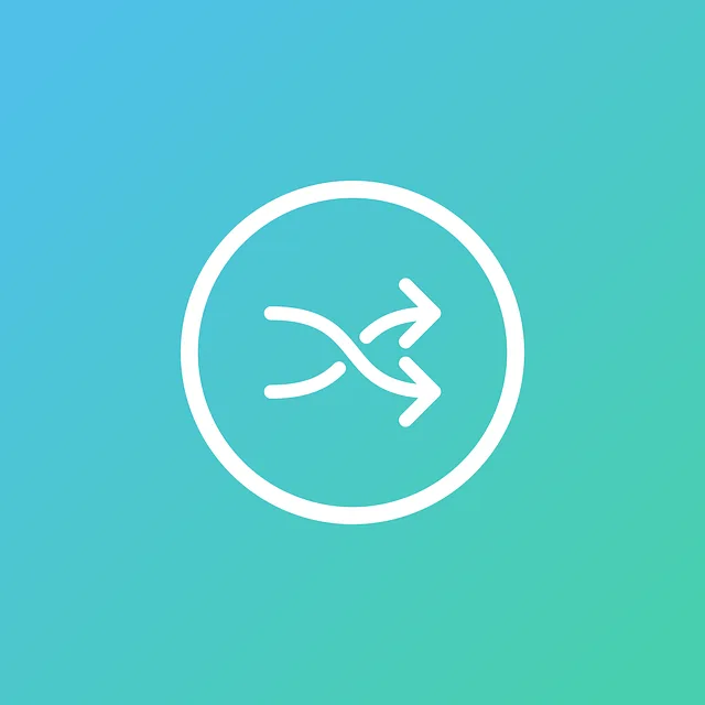 Video, viseo player, divx