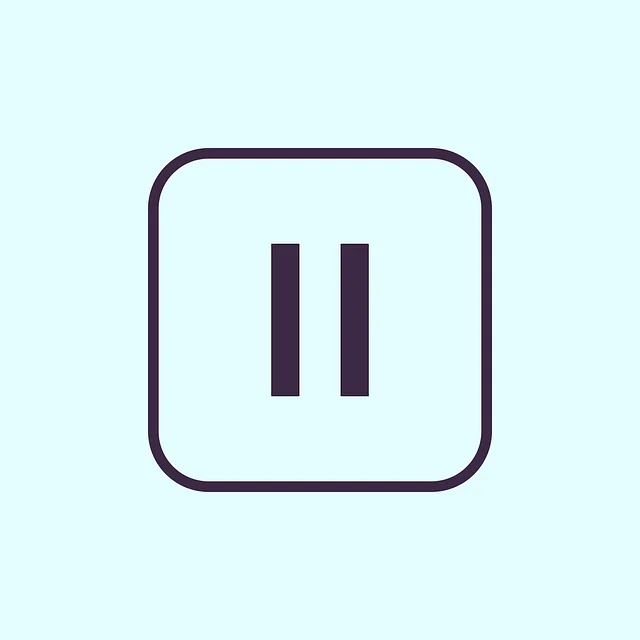 video-viseo-player-divx-640x480-30519405.png