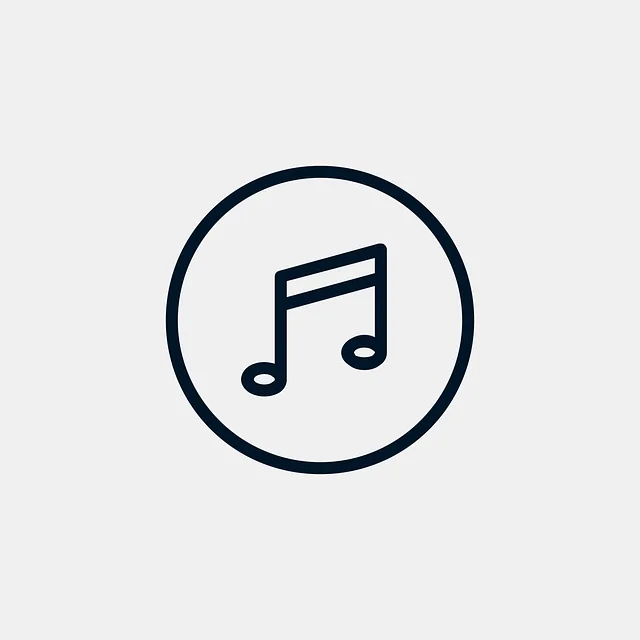 Video, viseo player, divx