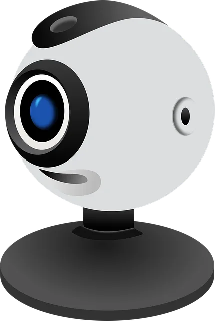 Video, viseo player, divx