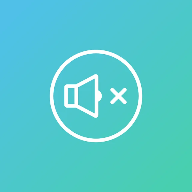 video-viseo-player-divx-640x480-67143570.png