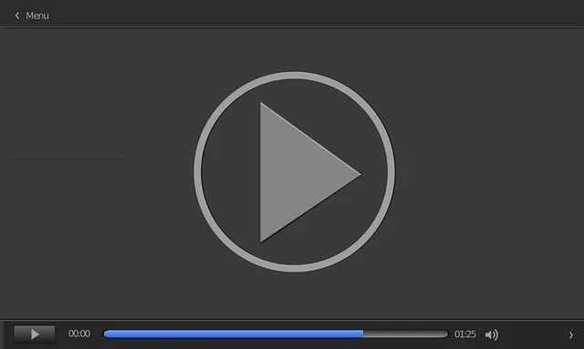 Stream High-Quality Videos: Best Free Video Players for DivX