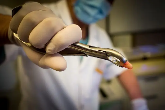 Dentist