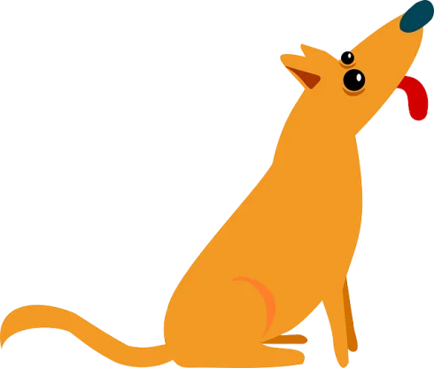 Pet Sitting